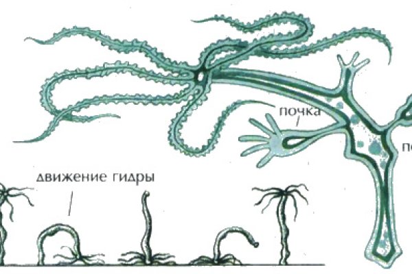 Как вернуть деньги с кракена